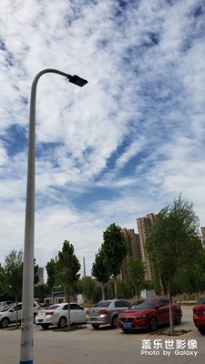 隨手拍-五月好天氣