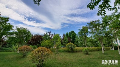 【異鄉(xiāng)】+西安夜景