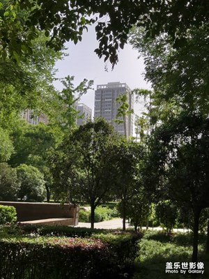 【異鄉(xiāng)】+西安