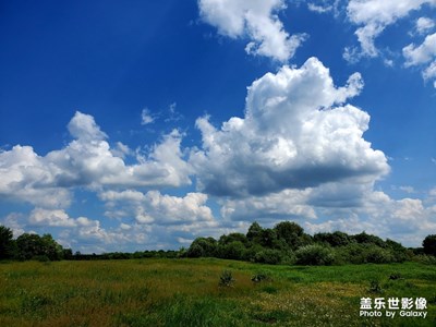 離恨恰如春草，更行更遠還生