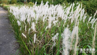 故鄉(xiāng)景色