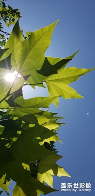 藍(lán)天白天，端午的氣息＋三星的攝力！