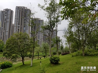 【美麗家園】+家園