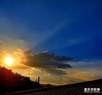 美到無(wú)可救藥