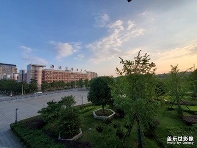 我是一只可憐的仔