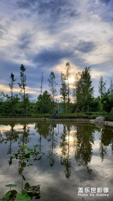 【端午風(fēng)情】+ 晚霞