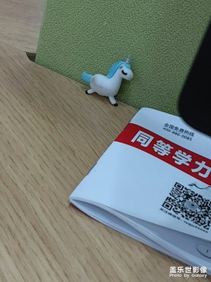 鴨!這是誰的獨角獸鴨?臟了捏～