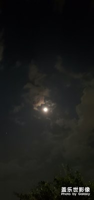 這是什么??？？？