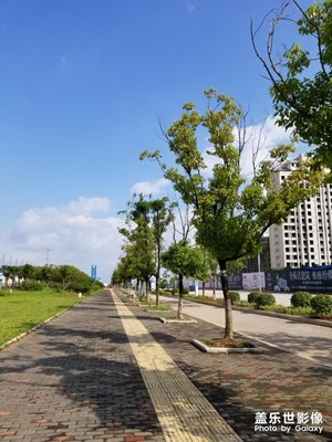 【走進(jìn)夏天】+夏日風(fēng)情