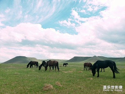 【走進(jìn)夏天】+草原火山牧場(chǎng)