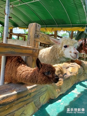 【走進(jìn)夏天】+ 長(zhǎng)廊生態(tài)園的動(dòng)物