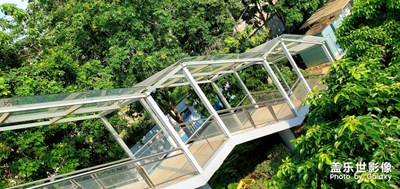 【美景分享】深圳的艷陽(yáng)天，今天適合談大事。