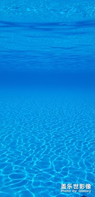 自己的壁紙自己拍