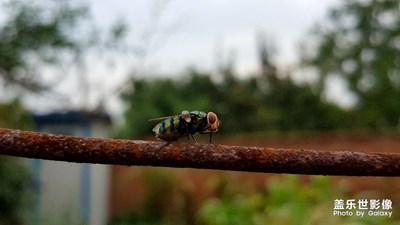 。。。。。。。。。