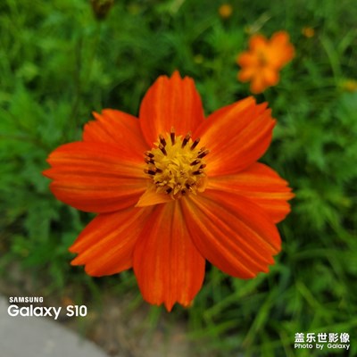 一組隨手拍，記錄大自然的美