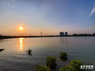 東莞沙田水鄉(xiāng)