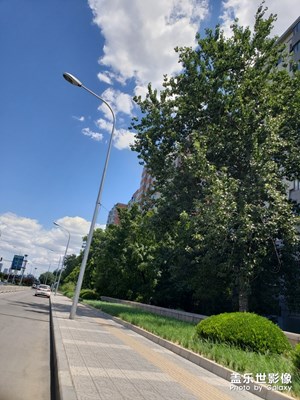 我想要個(gè)雙休