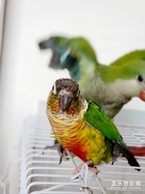 標(biāo)題留給你們來寫