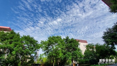 S10無懼強(qiáng)光