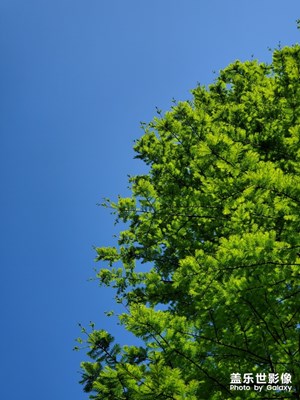 【向往的天空】+那藍(lán)藍(lán)的天