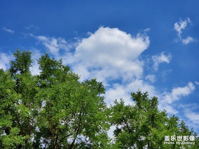 【向往的天空】+驕陽似火