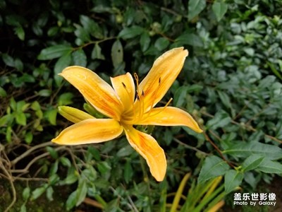 7月你好！
