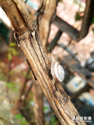 【社區(qū)4周年】+陪伴我的【影像版塊】