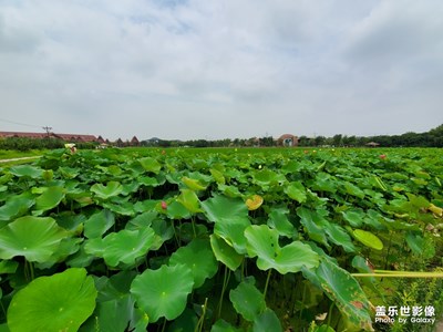 【盛夏光年】+水色清涼
