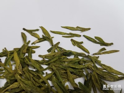 高山龍井茶，茶農(nóng)自產(chǎn)自銷！