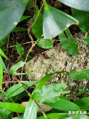 【盛夏光年】熱熱熱