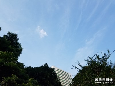 【盛夏光年】+夏日風(fēng)景