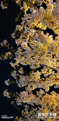 自己的壁紙自己拍(2)