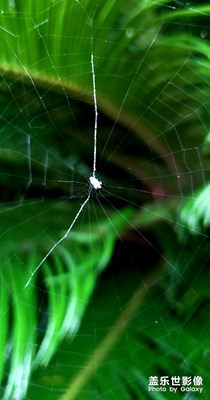 像手機(jī)屏幕裂了嗎？