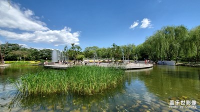 問渠那得清如許