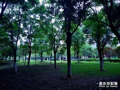 風(fēng)景這邊獨(dú)好~