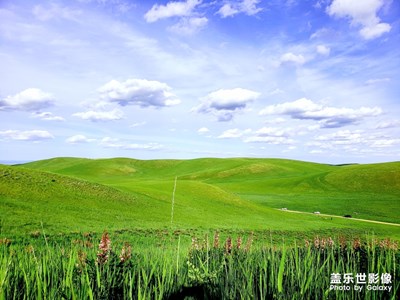 【回首尋美之路】+我和草原有個約定