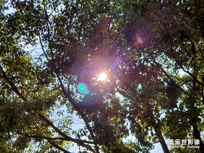 【回首尋美之路】+我的尋美之路