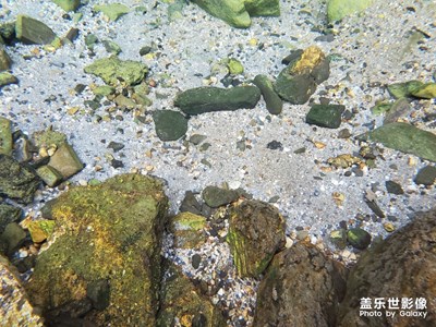 【回首尋美之路】+我的尋美之路