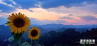 一生微笑向陽光