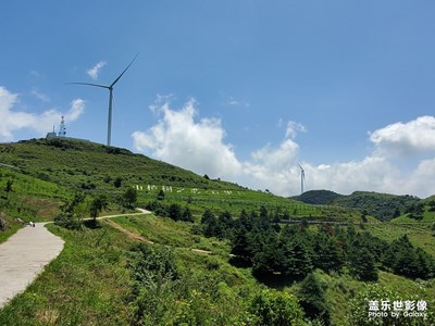 山楂樹之戀
