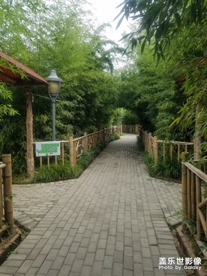 【回首尋美之路】+