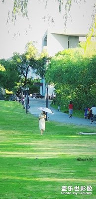 【城市足印】+美麗的浙大校園