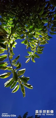 記錄最美的那一刻