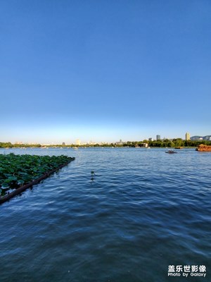 【最夏天】+夏日隨拍