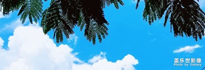 【最夏天】+ 最美麗