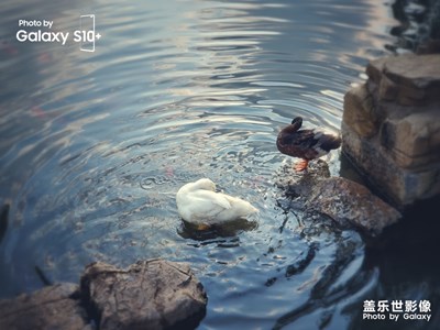 有Galaxy相伴·美景就在身邊