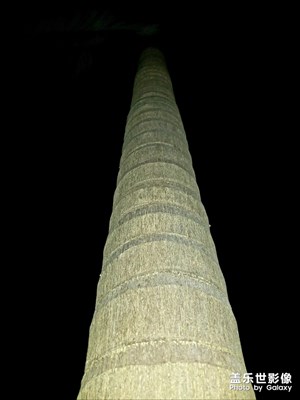 南方實(shí)習(xí)所拍