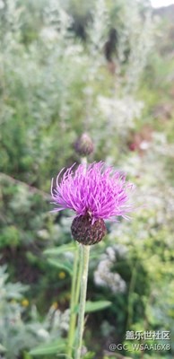 周末太行山上臘江村一日游。。。。。。