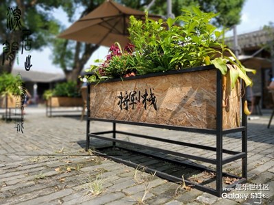 對抗臺風(fēng)“白??”