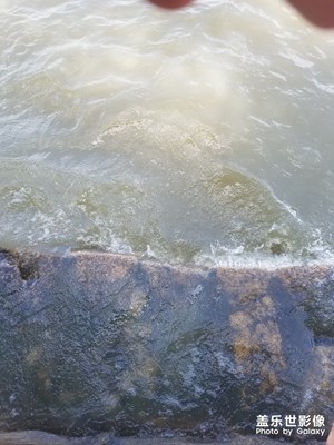 【淺秋時光】+天晴氣爽